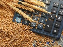 Пружины , запчасти для ДСП-50