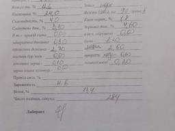 Пшеница 2ка