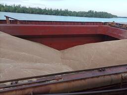 Пшениця 11,5%, урожай 2024 року