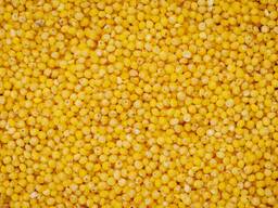 Крупа Пшоно