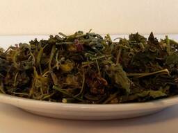 Пустырник (трава)