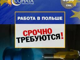 Работа в Польше