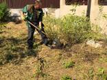Работаем на совесть. Расчистка уборка участков. Покос бурьяна. - фото 3