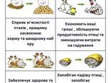 Ракушка кормова 3 кг - фото 2