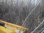 Расчистка участка лесным мульчером, Аренда, Услуги мульчера. Розліснення полів, лісосмуг. - фото 2