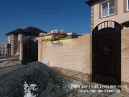 Распашные ворота с калиткой и ковкой