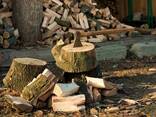 Распил и колка дров с выездом - фото 1