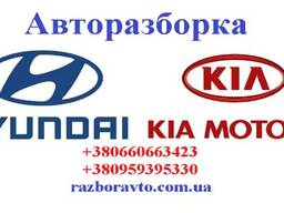 Разборка Киа и Хундай в Донецке