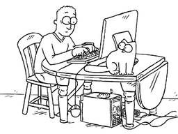 Разработка сайтов, раскрутка, продвижение