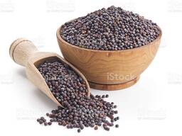 Реализуем горчицу черную, желтую.