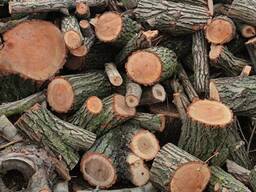 Реалізуємо дрова твердих порід / акація берест клен ясень тополь щепа