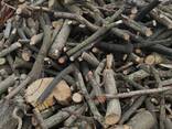 Реалізуємо дрова твердих порід / акація берест клен ясень тополь щепа - фото 3