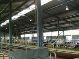 Реконструкция Свиноводческих и КРС комплексов