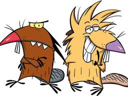 Бобровая струя сила Бобра 250 мл