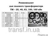 Ремкомплект для трансформатора ТМ 25,40,160,250,400,630,1000 - фото 1