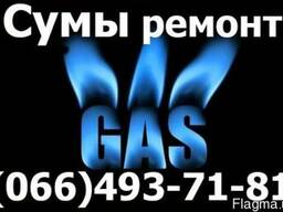 Ремонт газового котла, колонки, Берета, Протерм, Электролюкс