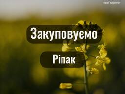 РІПАК 23