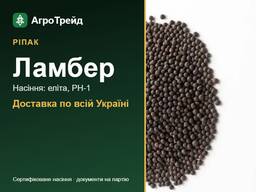 Ріпак Ламбер: продаж насіння, еліта, РН-1