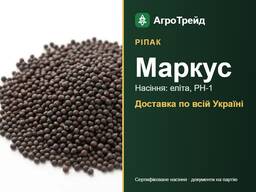 Ріпак Маркус — насіння для посіву