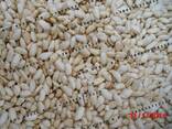 Рис воздушный (взорванный). Puffed rice - фото 2