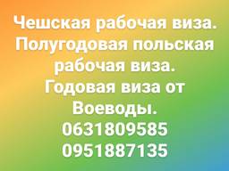 Робочі візи