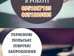 Робочі візи