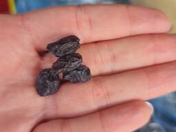 Родзинки темно -сині