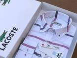 Рубашка Lacoste мужская - фото 2