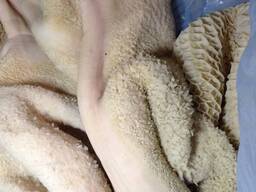 Рубець яловичий