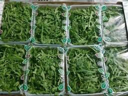 Рукола фасована 8*125 г. великими партіями для гурту