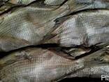 Продам речную вяленую рыбу - фото 1