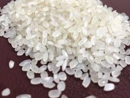 Рис для Суші