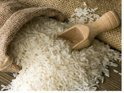 Рис довгозернистий