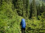 Рюкзак туристический Vango Pathfinder 55 Cobalt Vng925308 - фото 2