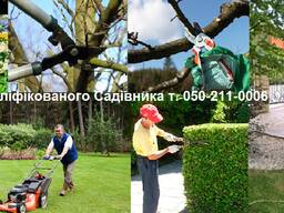 Садівник - кваліфіковані послуги