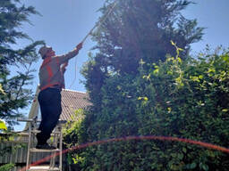 Садовник обрезка сада, садовых деревьев, уход за садом Одеса