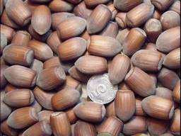 Садовые растения