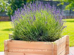 Садовий ящик-конструктор (кашпо) для рослин