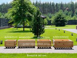 Кашпо для рослин