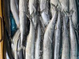 Сайра 1(120-150 )вагона до 10 кг в ящ