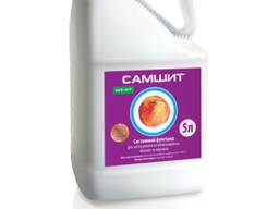 Самшит