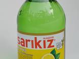 Sarikiz природная минеральная минеральная вода - фото 1
