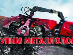 Сдать Металлолом Вывести Макулатура Металобрухт Картон Книг Металл Лом