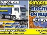 Семечка кондитерская Лакомка Добрыня - фото 2