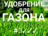 Семена Белого Клевера - фото 5