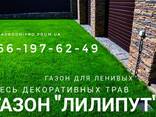 Семена Белого Клевера - фото 6