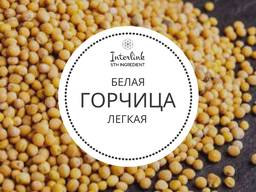 Зерна горчицы