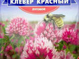 Семена "Клевер красный" - фото 1