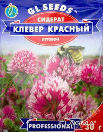 Семена "Клевер красный"