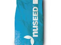 Семена подсолнечника ПСФ 4639 Сиера NuSeed